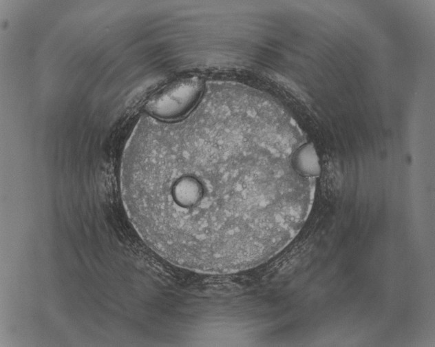 X0000076090918200610061637