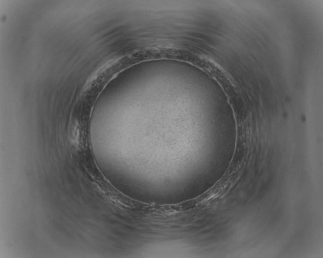 X0000076090919200610061637