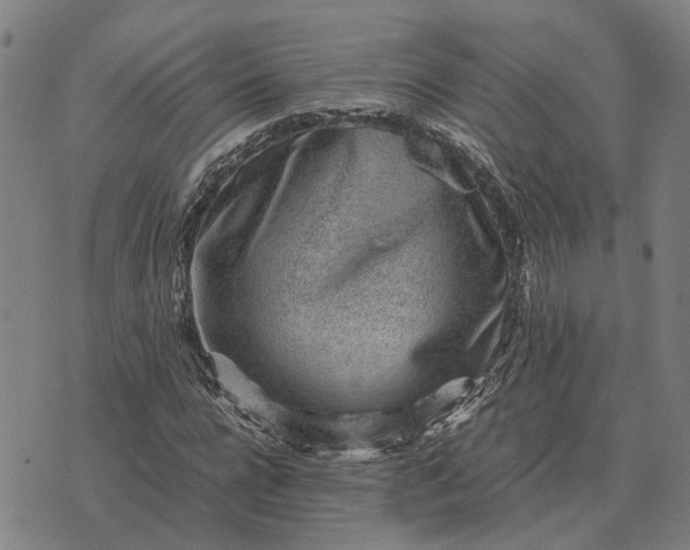 X0000076090920200610061637