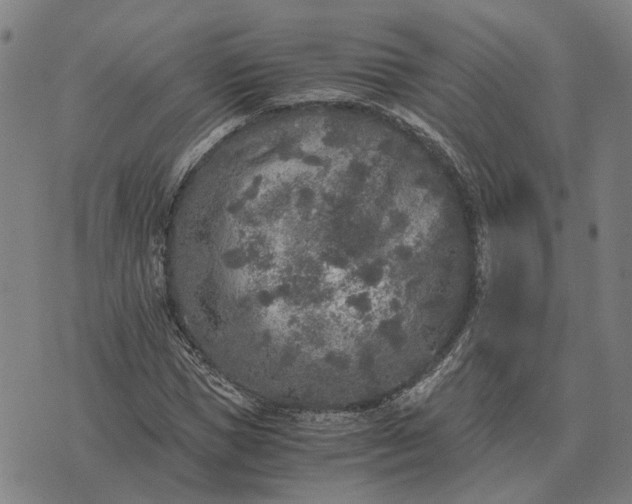 X0000076090921200610061637