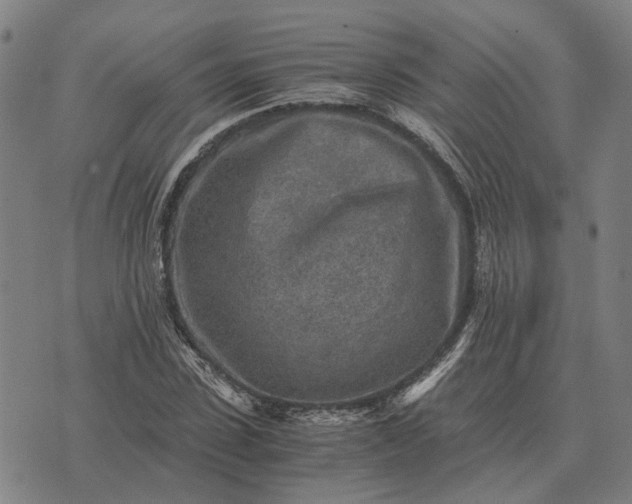 X0000076090923200610061637