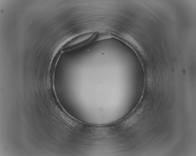 X0000076090924200610061637