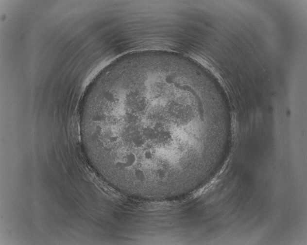 X0000076090925200610061637