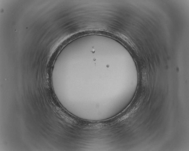 X0000076090926200610061637