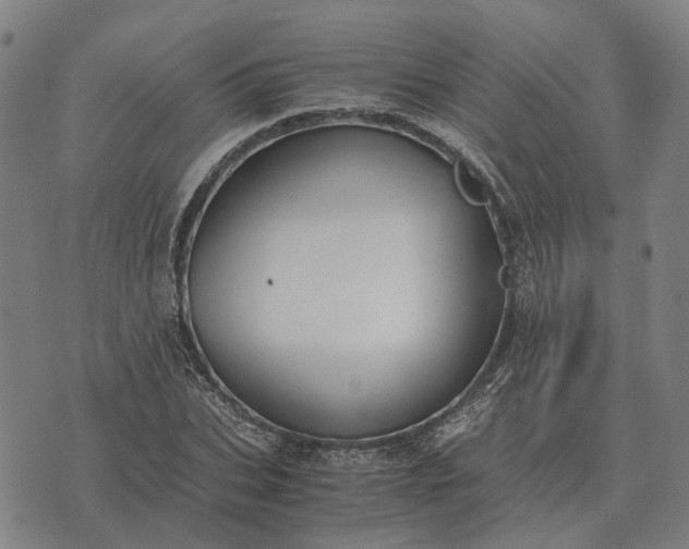 X0000076090927200610061637