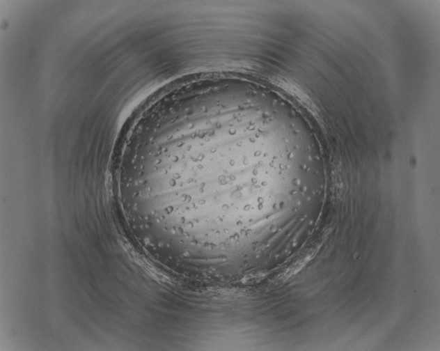 X0000076090928200610061637