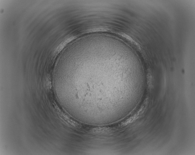 X0000076090929200610061637