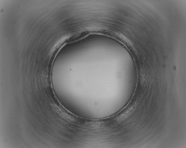 X0000076090930200610061637