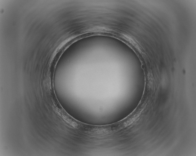 X0000076090931200610061637