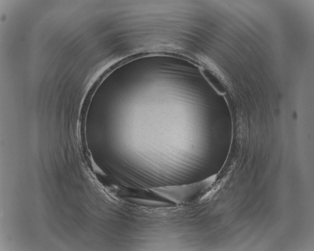 X0000076090932200610061637