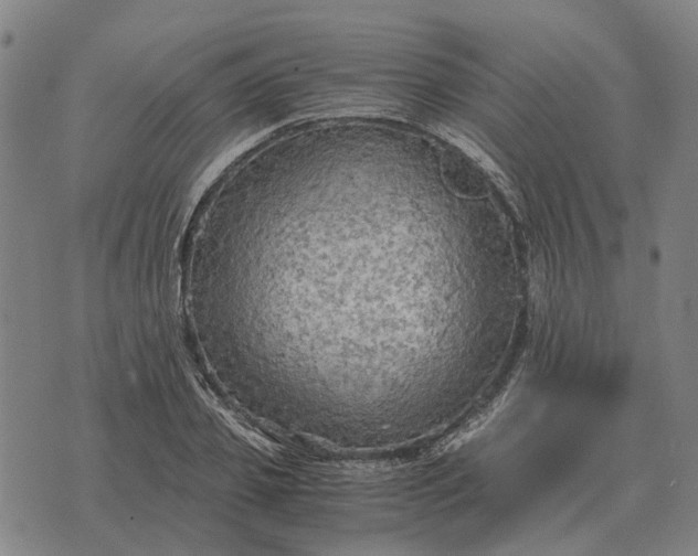 X0000076090933200610061637