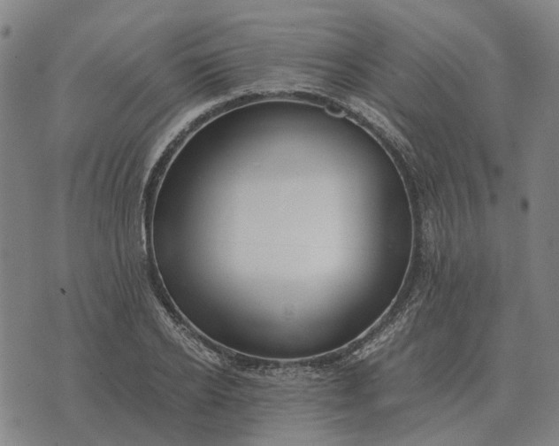 X0000076090934200610061637