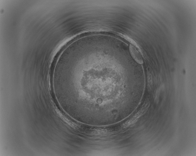 X0000076090935200610061637