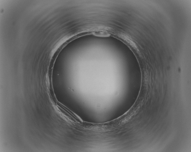 X0000076090936200610061637