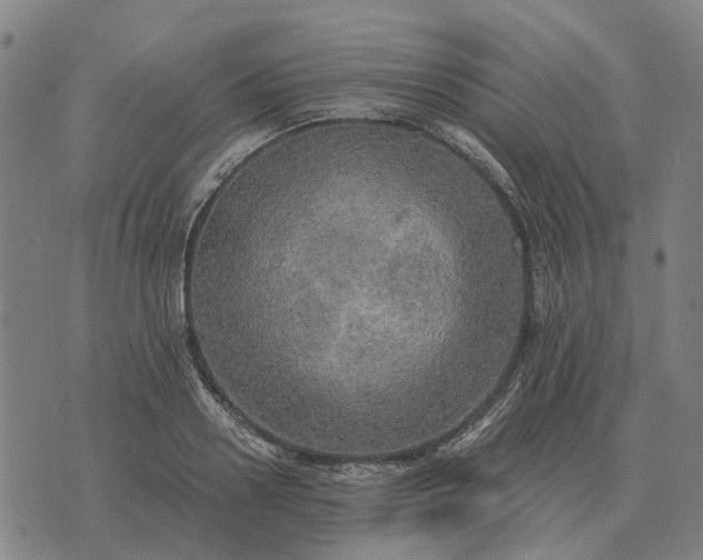 X0000076090938200610061637