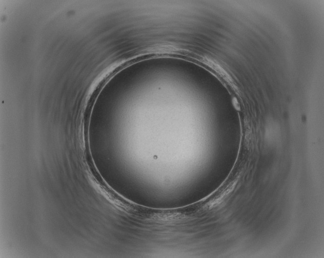 X0000076090939200610061637