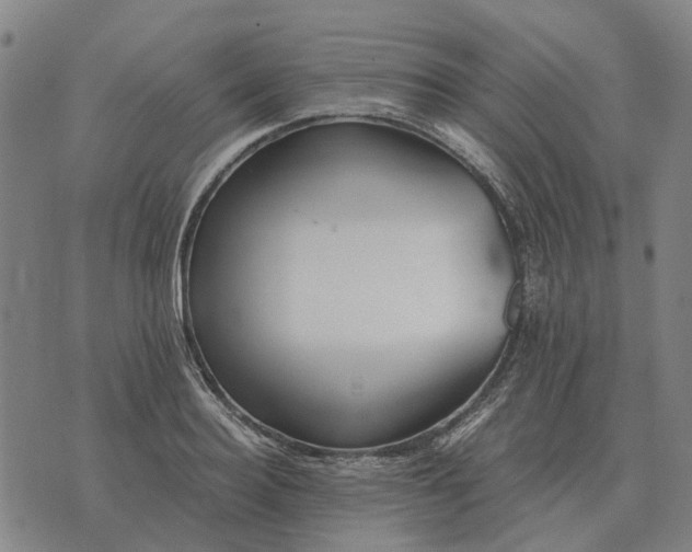 X0000076090940200610061637