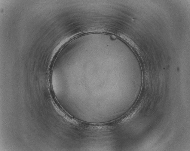 X0000076090941200610061638