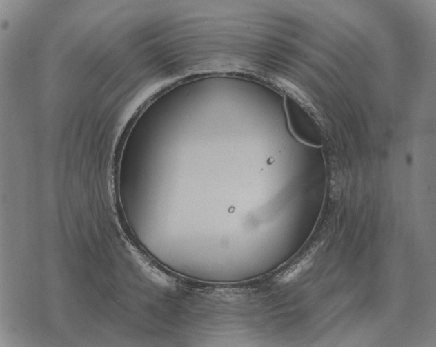 X0000076090942200610061638