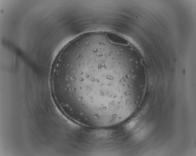 X0000076090943200610061638