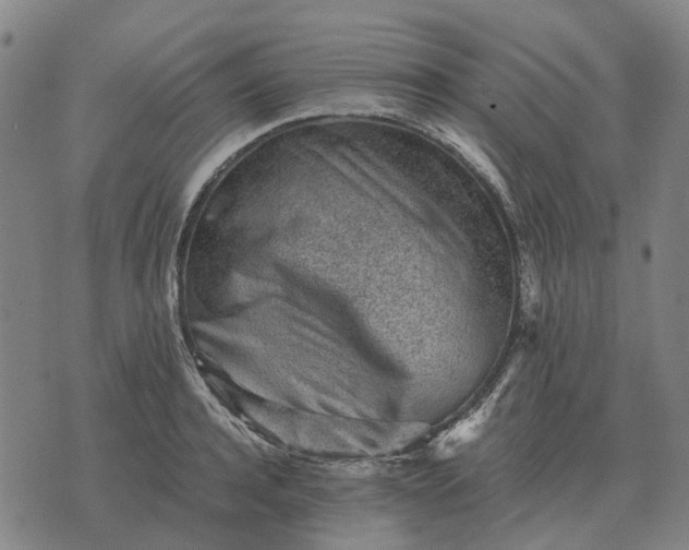 X0000076090944200610061638