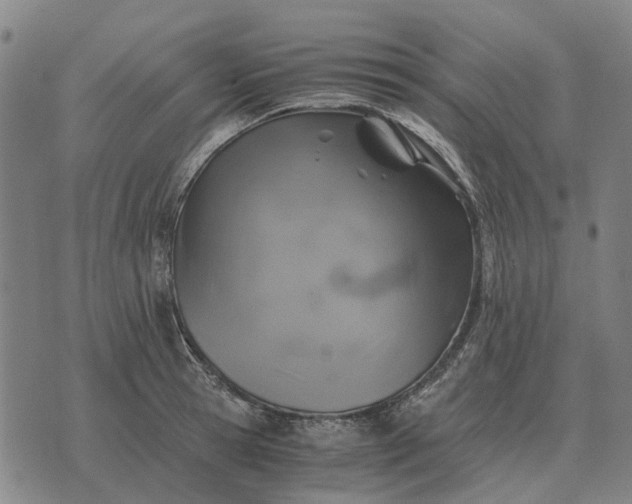 X0000076090945200610061638