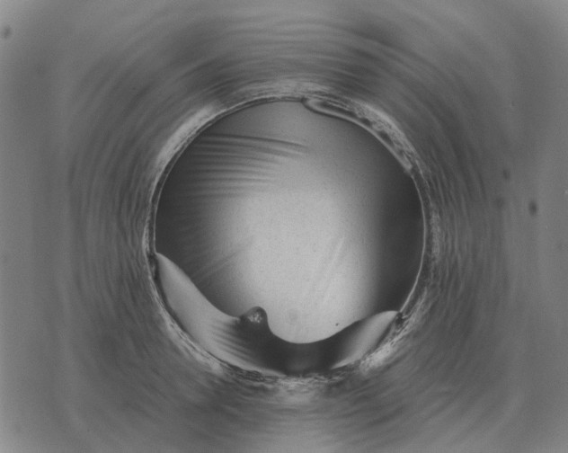 X0000076090946200610061638