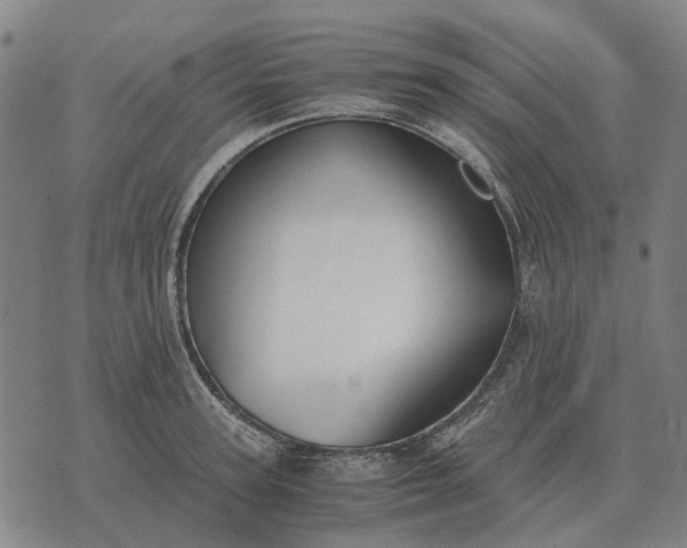 X0000076090947200610061638