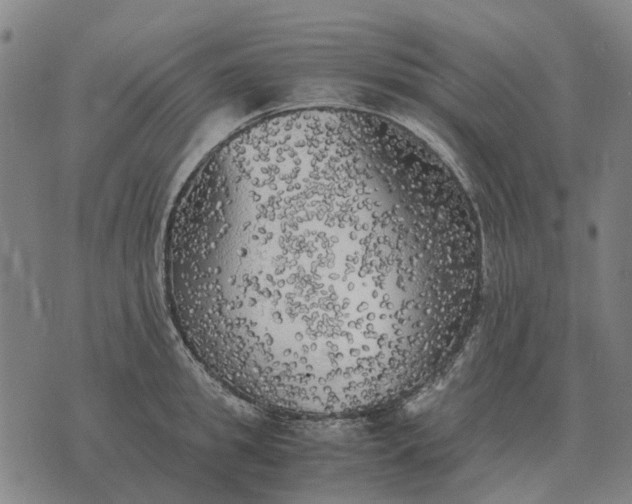 X0000076090949200610061638