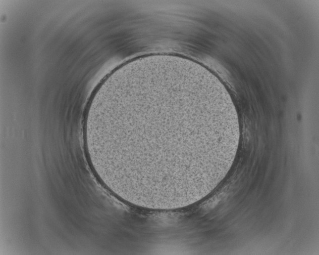 X0000076090950200610061638