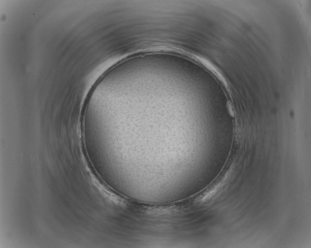 X0000076090951200610061638