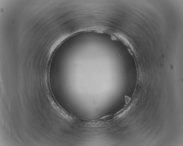 X0000076090952200610061638