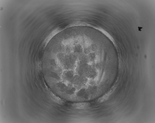 X0000076090953200610061638