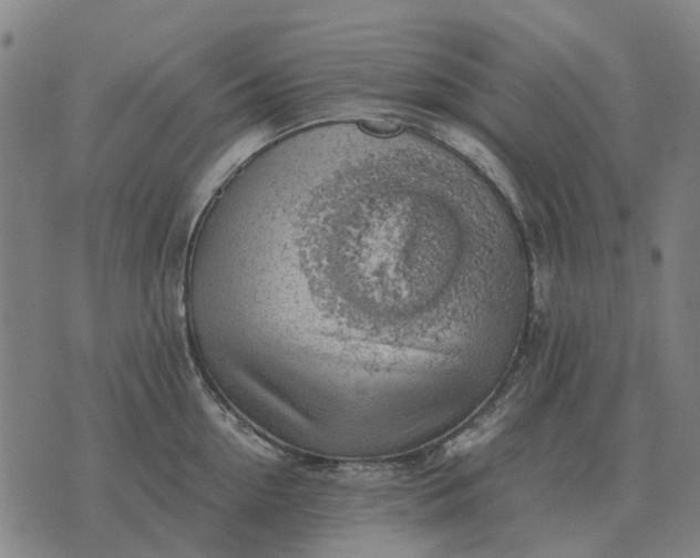 X0000076090954200610061638