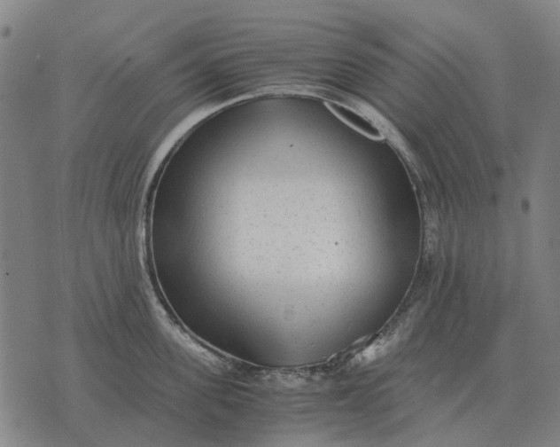 X0000076090955200610061638