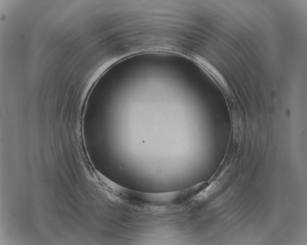 X0000076090956200610061638