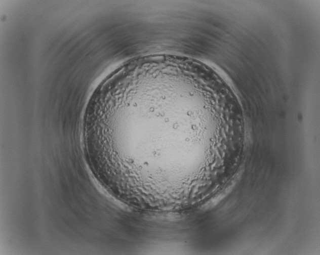 X0000076090957200610061638