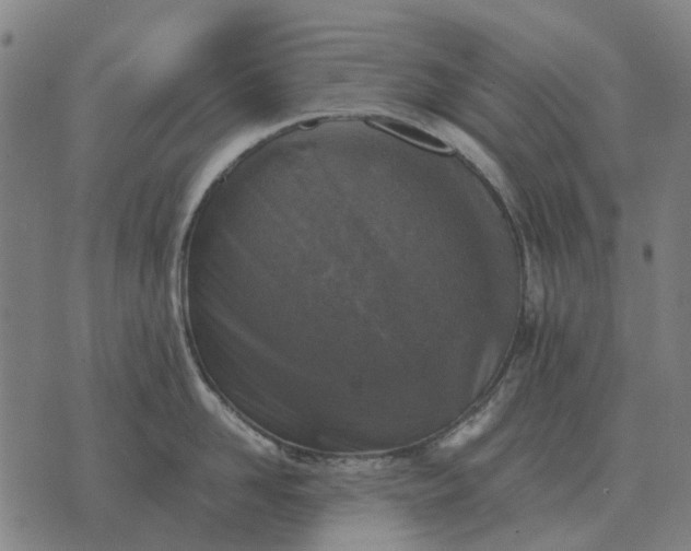 X0000076090958200610061638