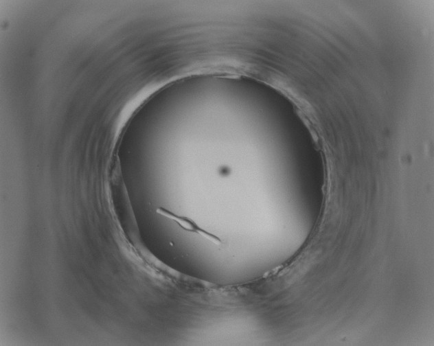 X0000076090960200610061638