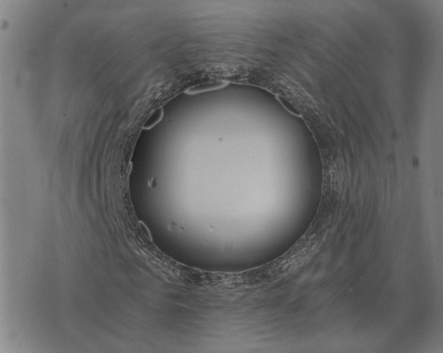 X0000076090961200610061637