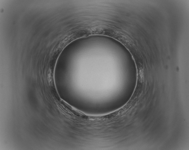 X0000076090963200610061637