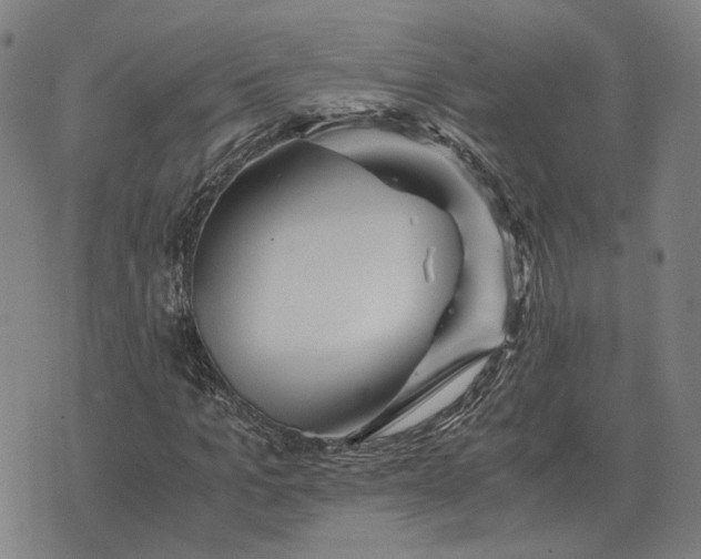 X0000076090965200610061637