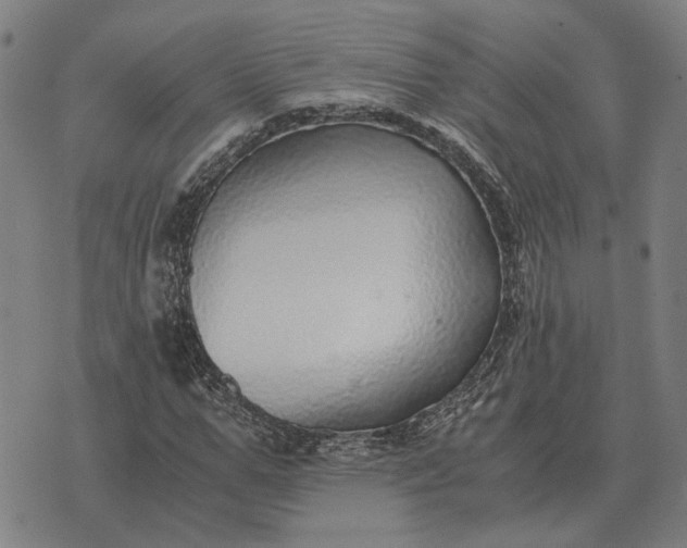 X0000076090967200610061637