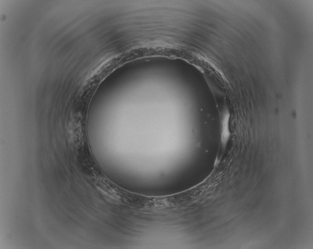 X0000076090968200610061637