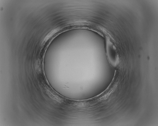 X0000076090970200610061637