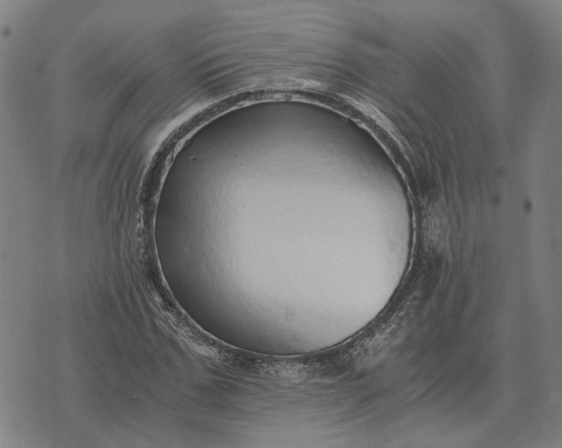 X0000076090971200610061637