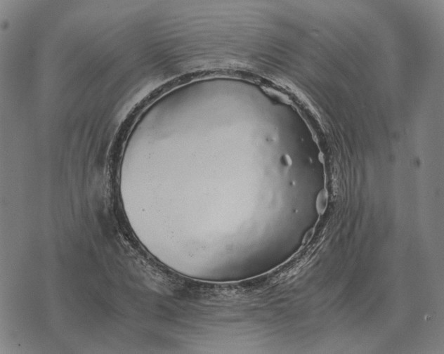 X0000076090975200610061637