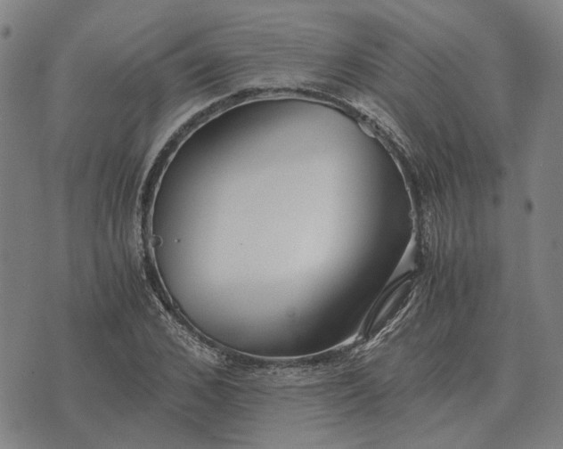 X0000076090976200610061637