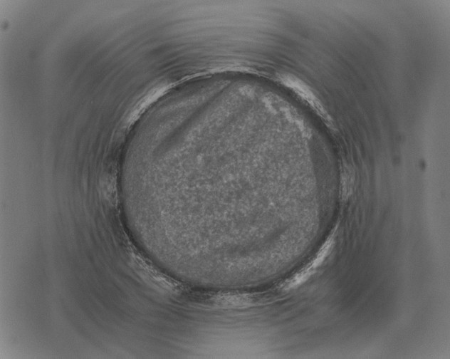 X0000076090977200610061637