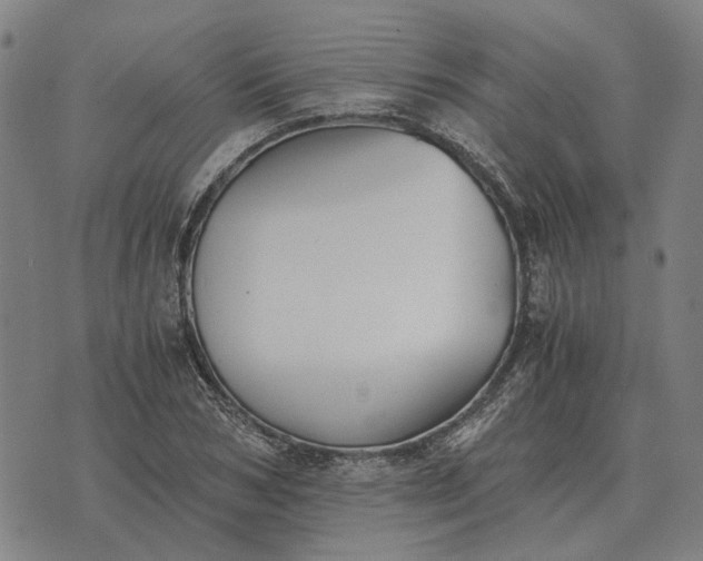 X0000076090978200610061637